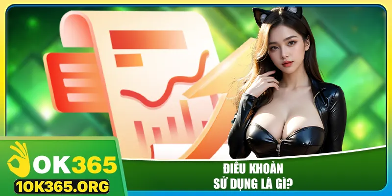 Điều khoản sử dụng là gì?
