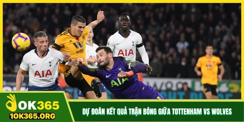 Dự đoán kết quả trận bóng giữa Tottenham vs Wolves